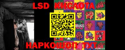 дмт Краснодар