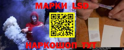 дмт Краснодар