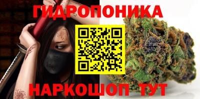 дмт Краснодар