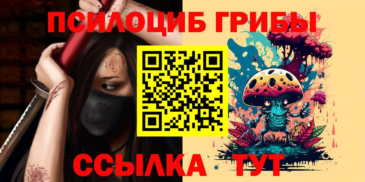 Зеленодольск  Псилоцибиновые грибы Psilocybine cubensis  Галлюциногенные грибы мицелий  Вход с VPN 